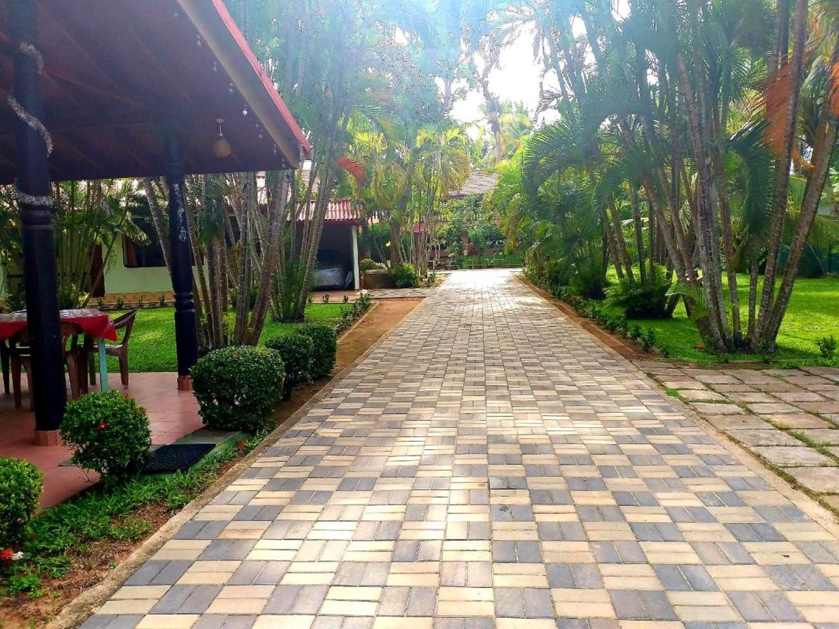 Hotel Tk Green Garden Matara Exteriér fotografie