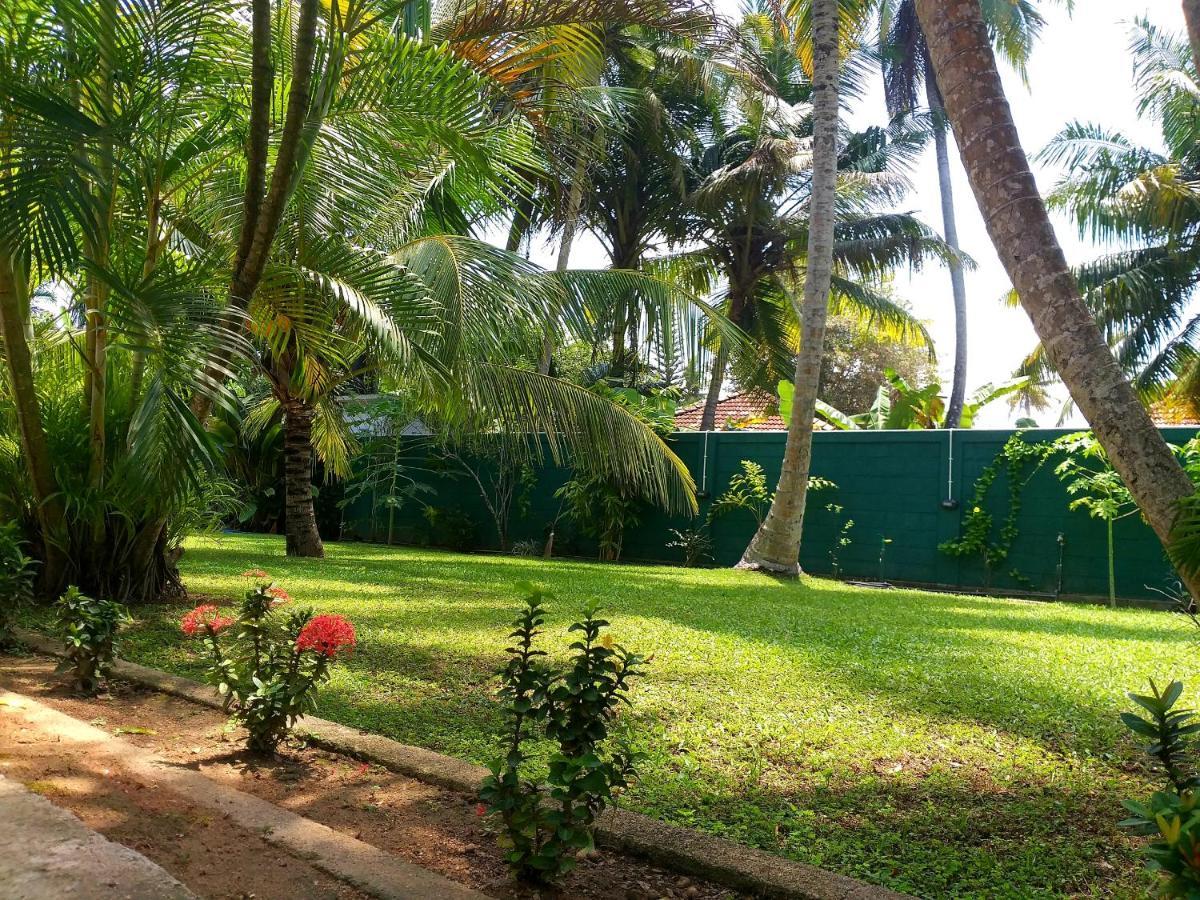 Hotel Tk Green Garden Matara Exteriér fotografie