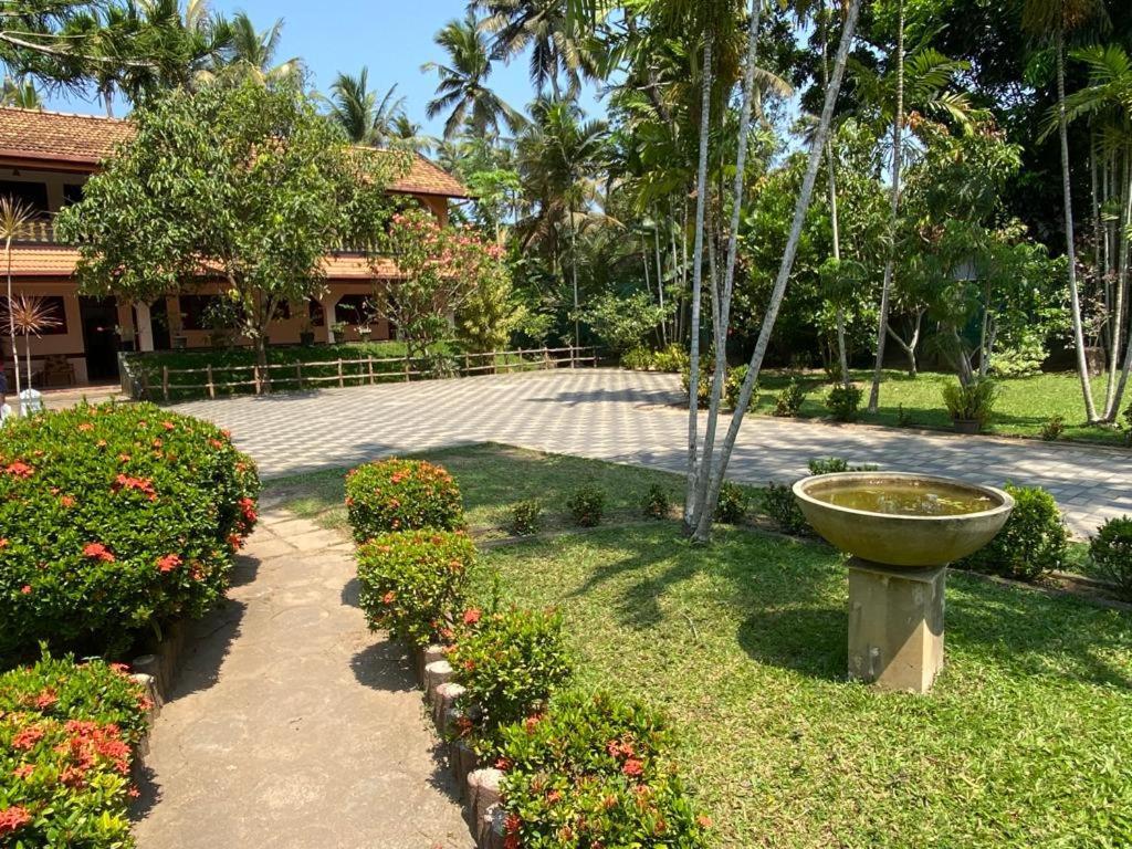 Hotel Tk Green Garden Matara Exteriér fotografie